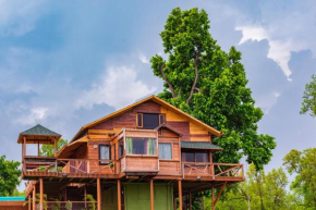 Tree Tops, Mahaman